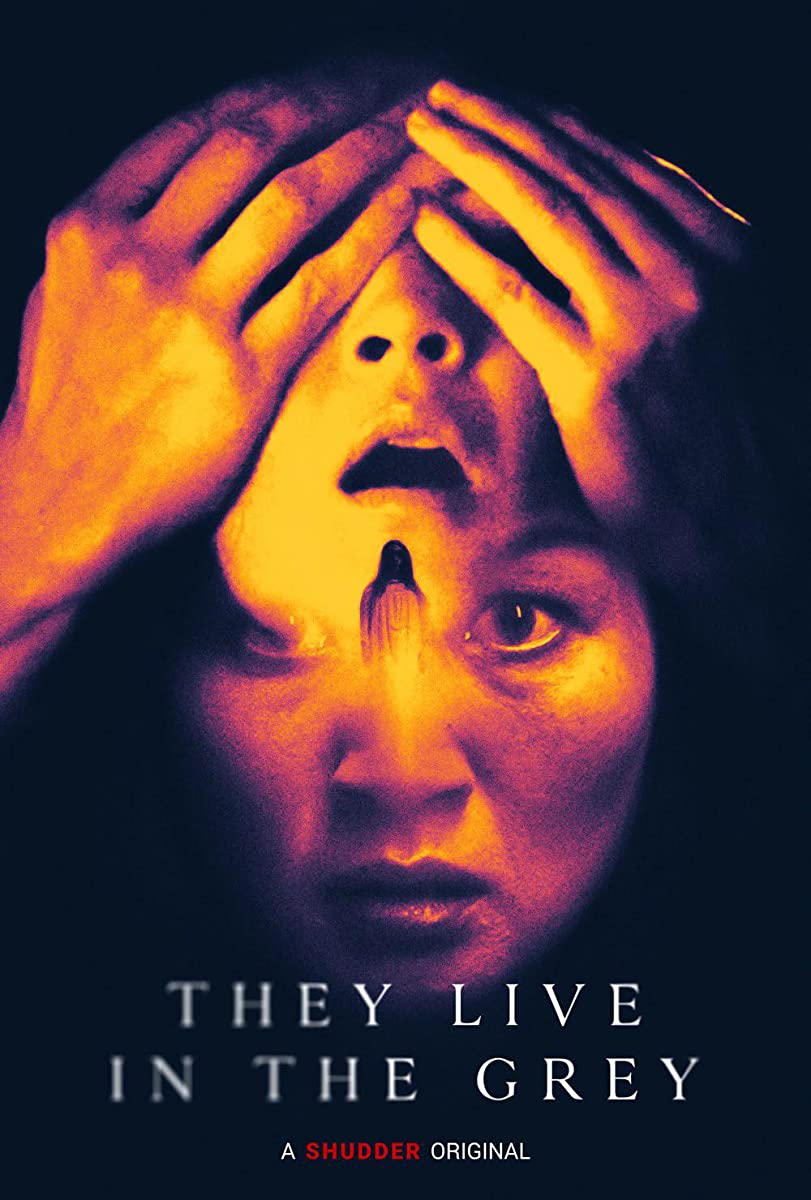 مشاهدة فيلم They Live in the Grey 2022 مترجم